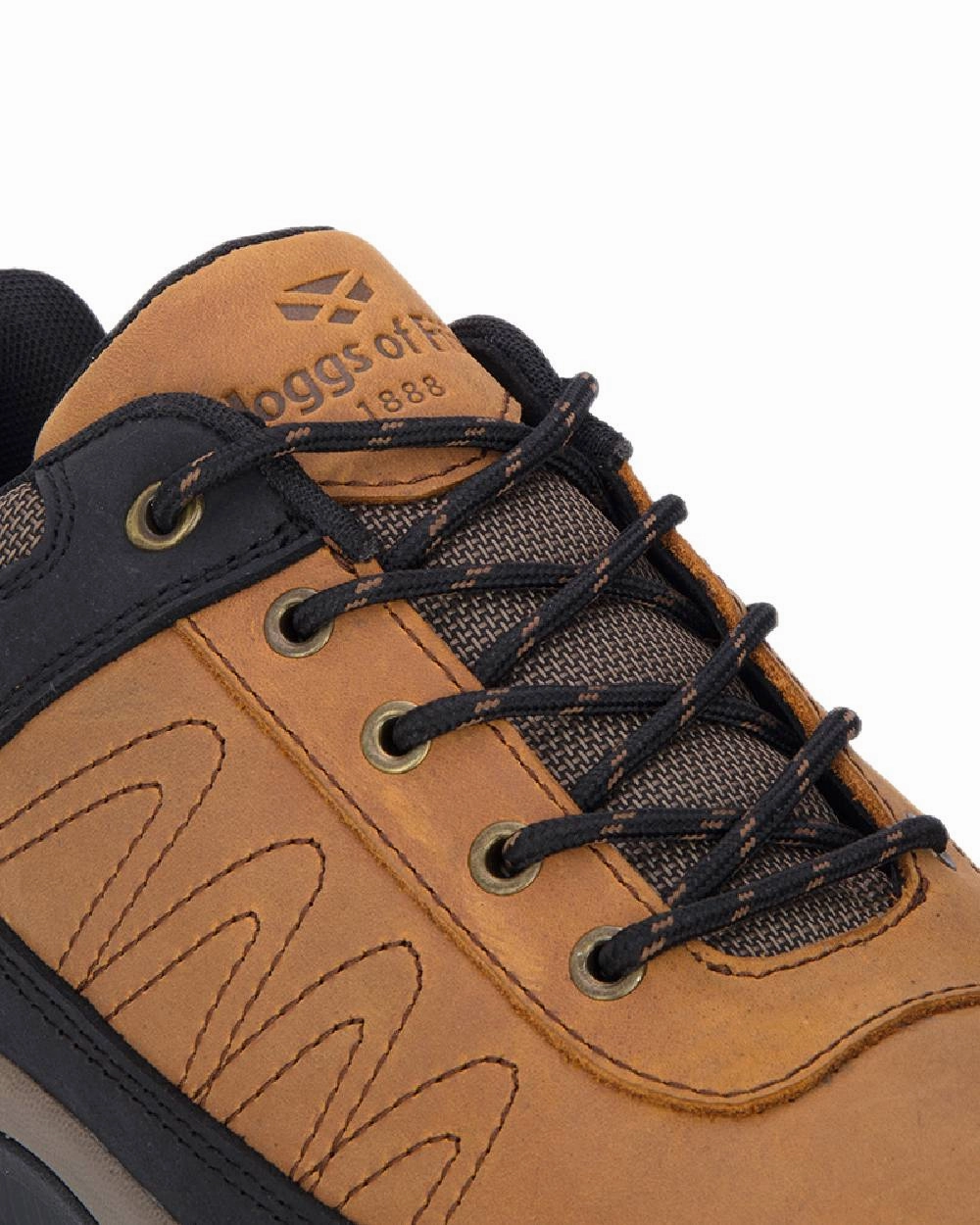 Hoggs of Fife Corrie Adventure Lace Shoes Hiking Shoes Ottawa