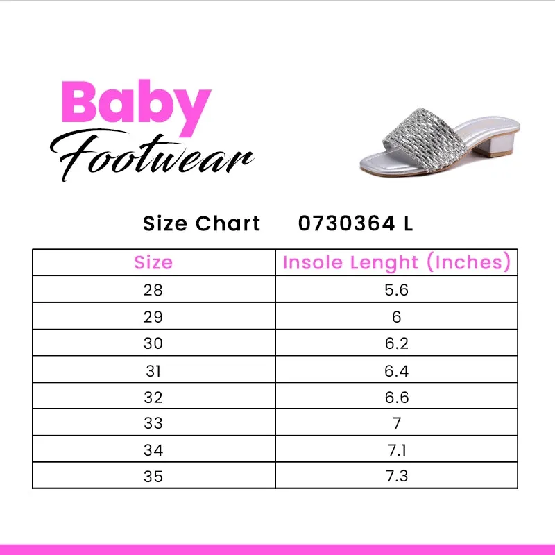 Ballet Flat Style Shoes Silver Fancy Slipper 0730364