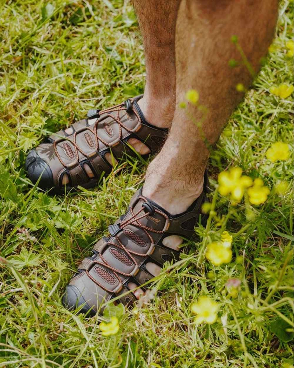 Cotswold Mens Ampney Sandals Hiking Shoes Scheels