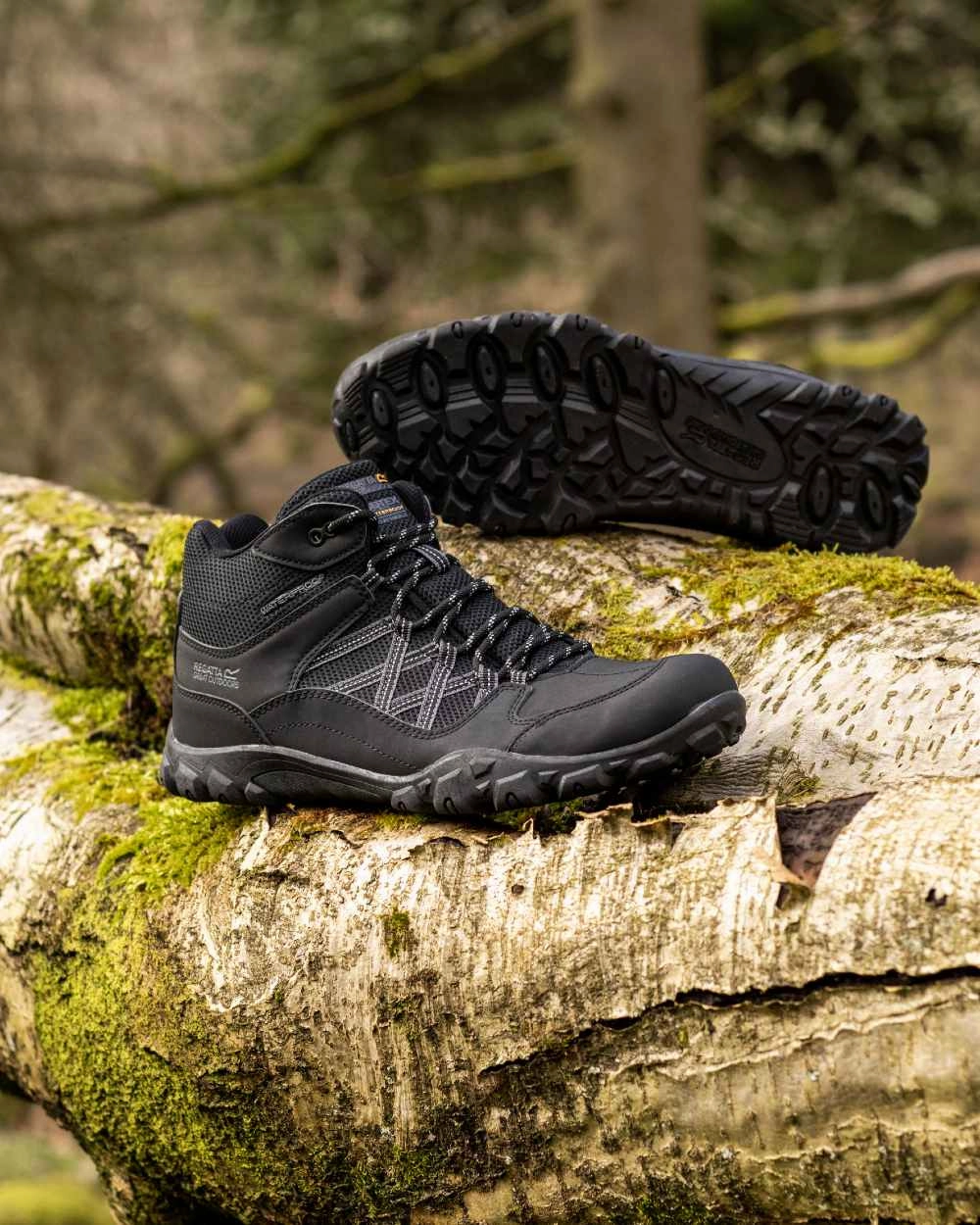 Hiking Shoes Victoria Bc Regatta Mens Edgepoint Waterproof Mid Walking Boots