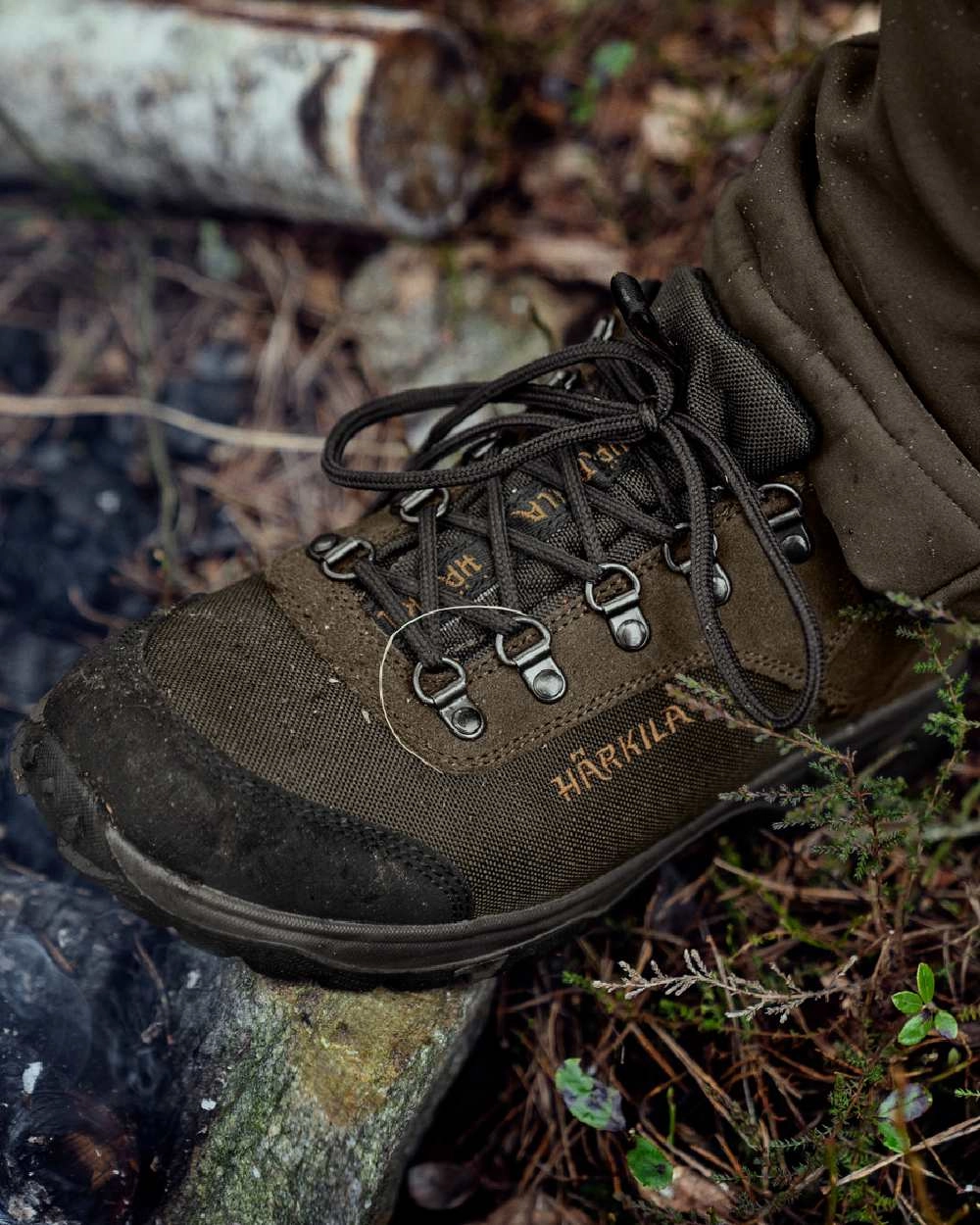 Hiking Shoes Kenya Harkila Trail Lace GTX Shoes