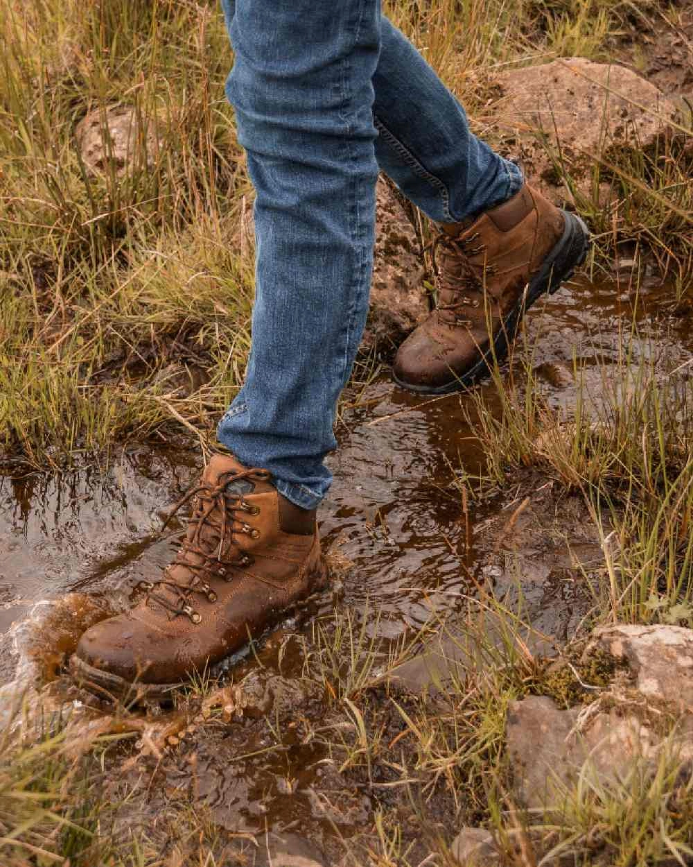 Terrex Anylander Hiking Shoes Review Xpert Mens Heritage Explorer Waterproof Hiking Boots